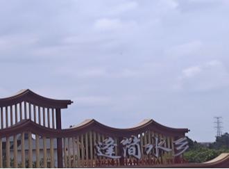 逢简村的水乡气息