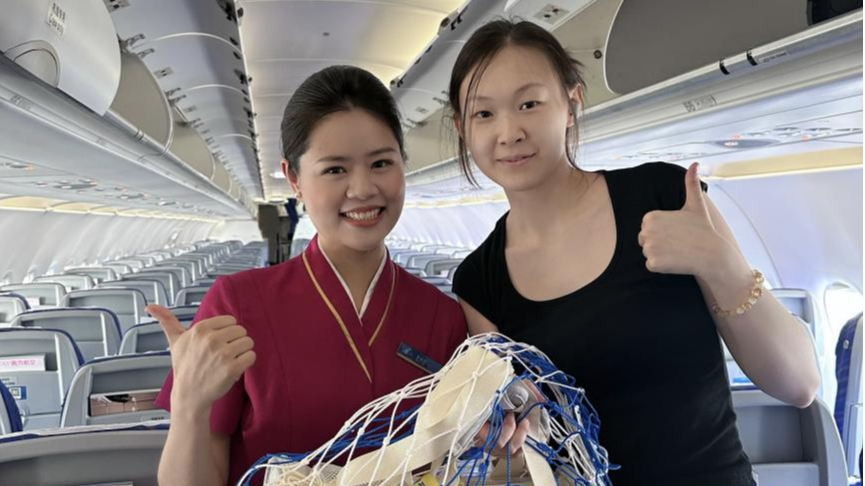 与萌宠共赴云端！南航“爱宠进客舱”服务温暖守护天空旅程