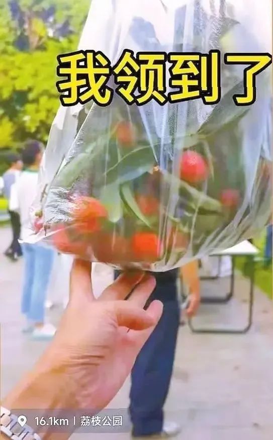 法力值.jpg