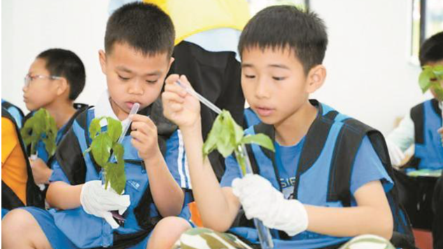 光明区科学小记者探索植物奥秘