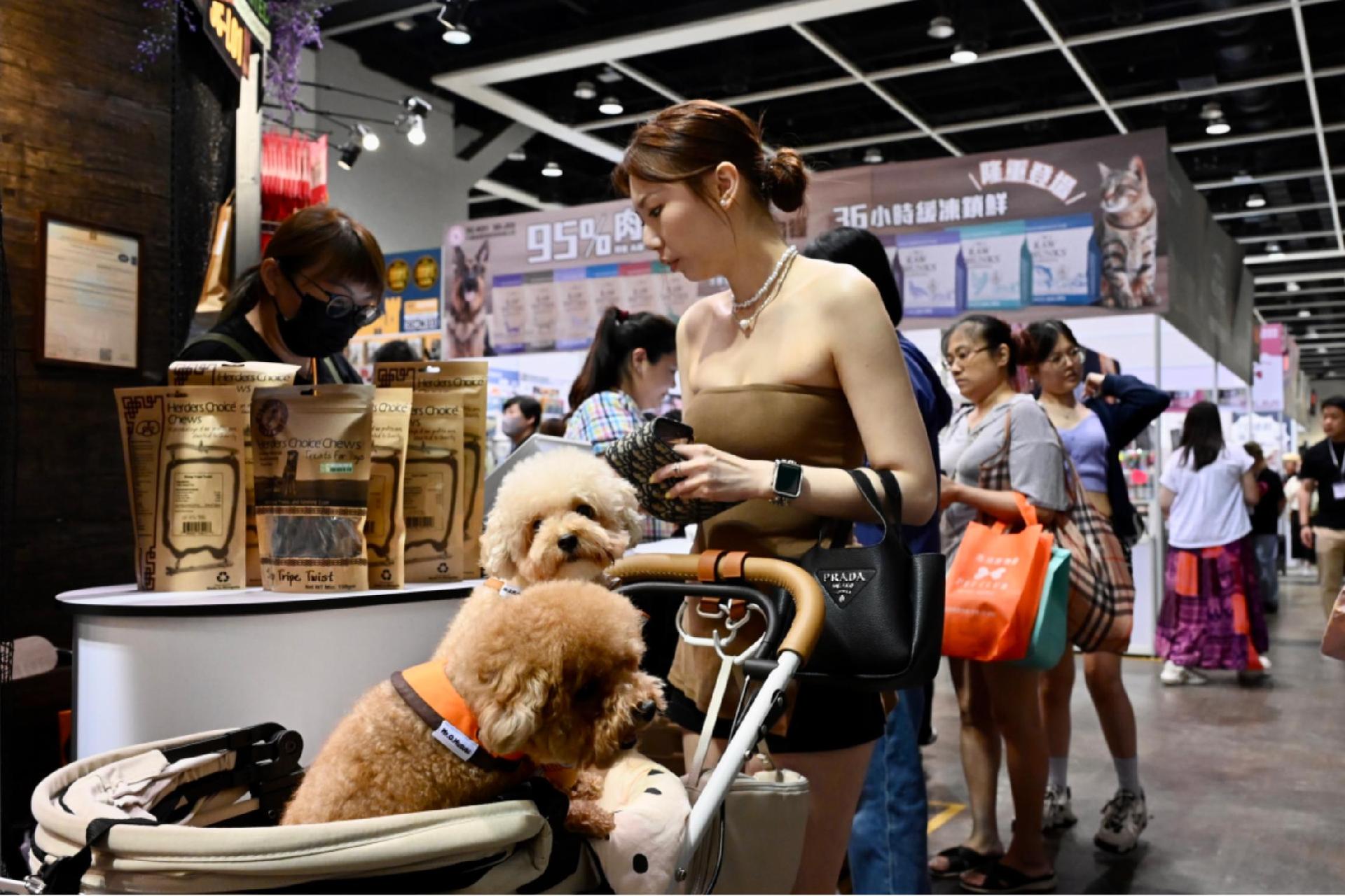 爱“宠”要有方，玉塘举办文明养犬主题宣传活动
