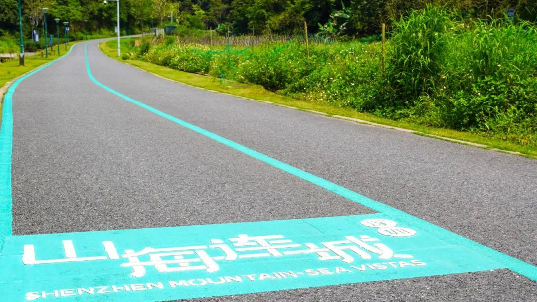 深圳骑行党狂喜!宝安这5条神仙路线火遍小红书