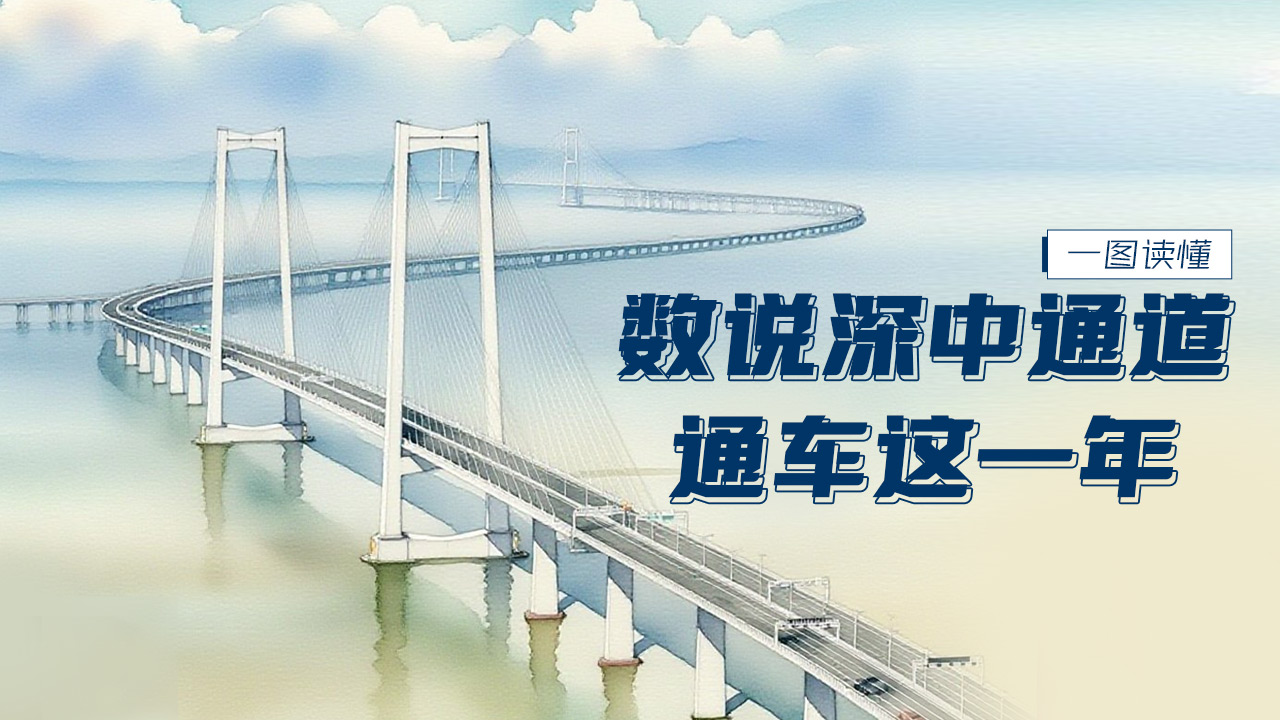 一图读懂 | 数说深中通道通车这一年