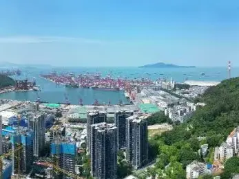 青春有我 提案南山 | 2025年南山区青少年模拟政协提案大赛深度拓展训练营（第二期）来了！