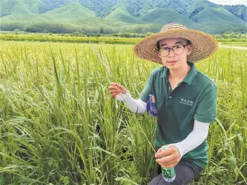 深圳华大万物科技有限公司育种工程师张强：从深圳出发到非洲当“农民” | 我的深圳故事
