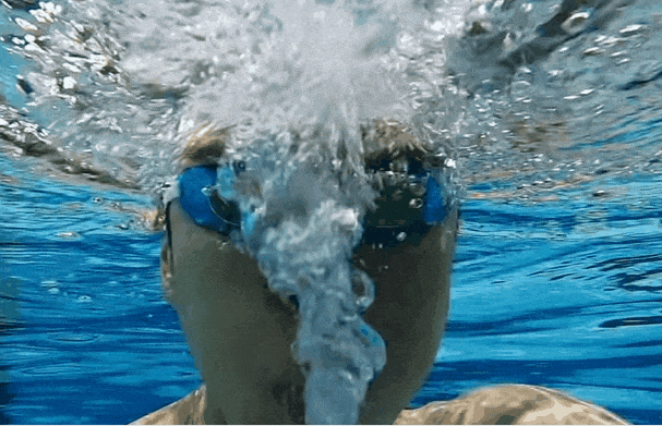 2.gif