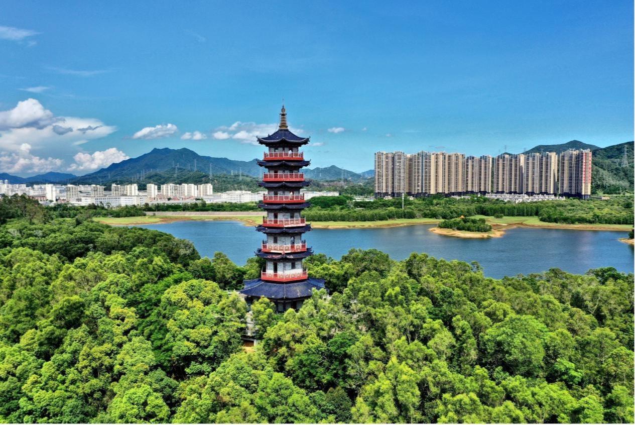 马峦街道开展国有土地专项整治行动