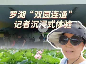 晶视频丨罗湖“双园连通”，记者沉浸式体验