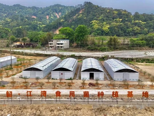 凤岗武江新一轮对口帮扶协作交出高质量答卷
