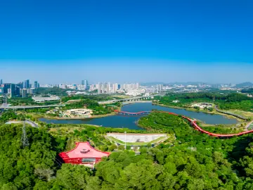 光明区：以综合改革试点激发世界一流科学城创新动能
