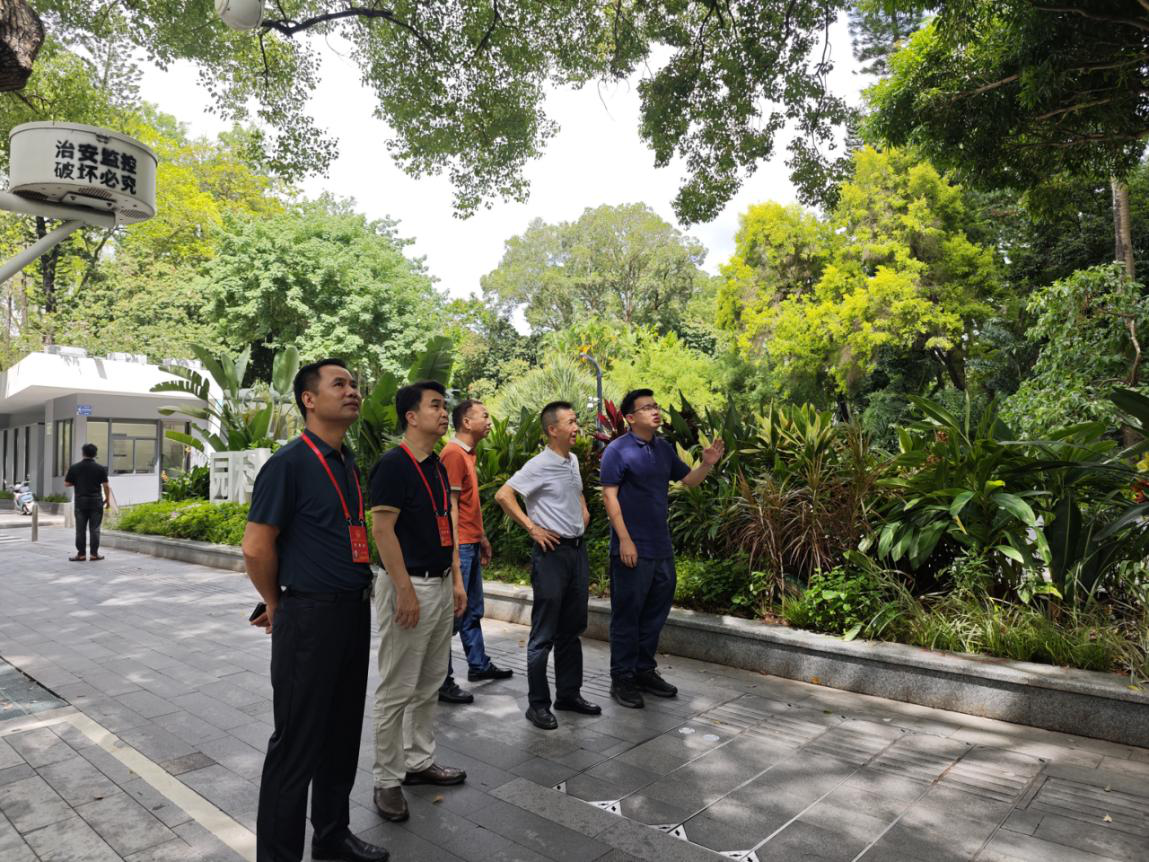 “绿美罗湖”在行动：人大代表监督绿化 管养 筑牢台风季安全防线