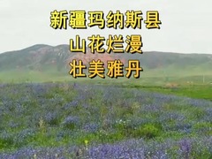 新疆玛纳斯县：山花烂漫 壮美雅丹