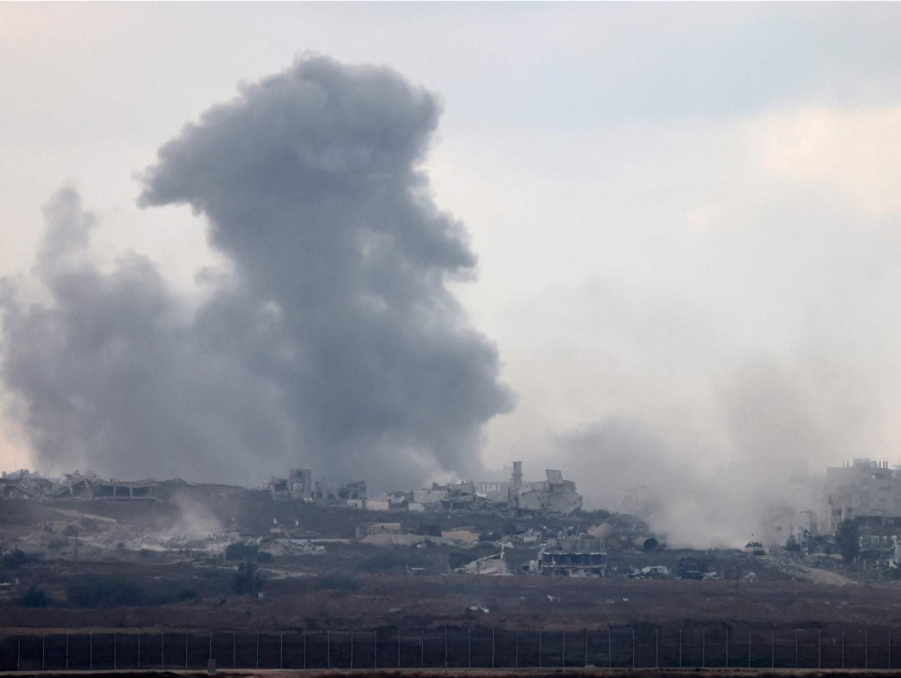 本轮巴以冲突已致加沙地带超5.5万人死亡