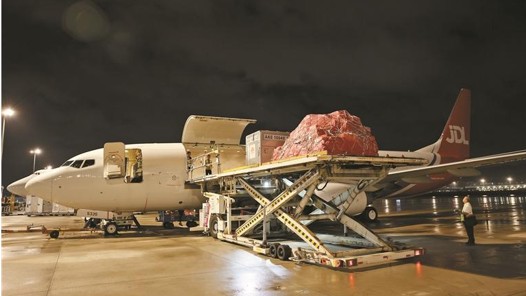 深圳机场“航空+冷链”联运模式实现荔枝运输快速通达