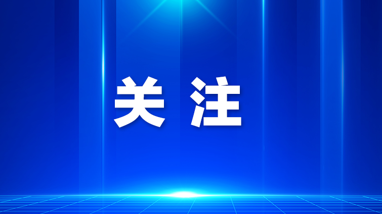 全国首个人工智能辅助执行系统在龙华正式上线运营