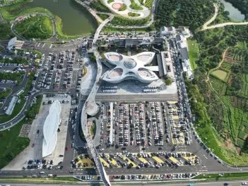 人气火爆！广东首个荔枝文化主题服务区端午单日客流达9万人次