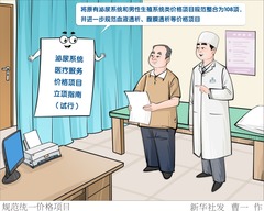 （图表·漫画）规范统一价格项目