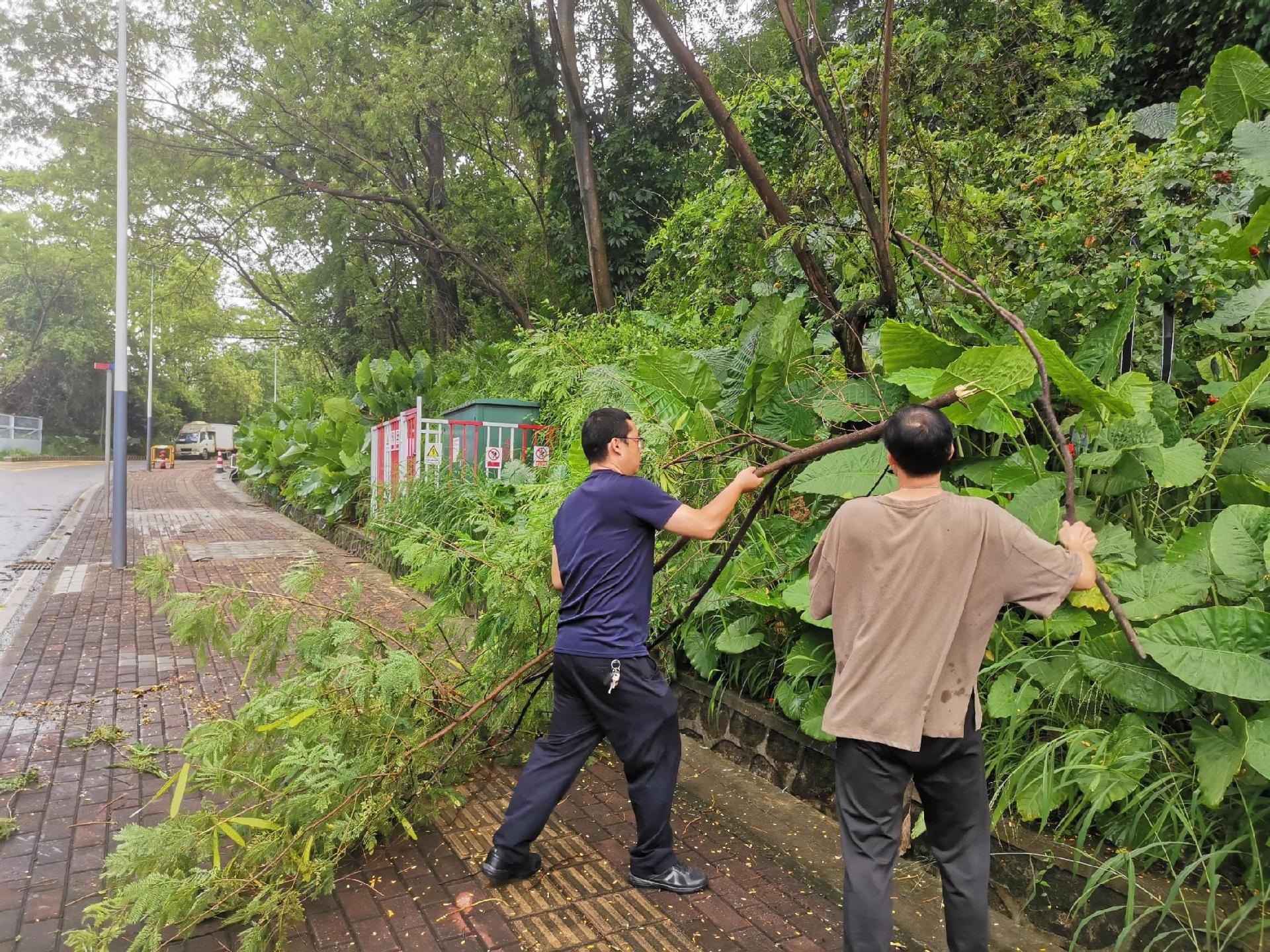 “网格+气象”联动机制，大浪街道筑牢防汛安全线