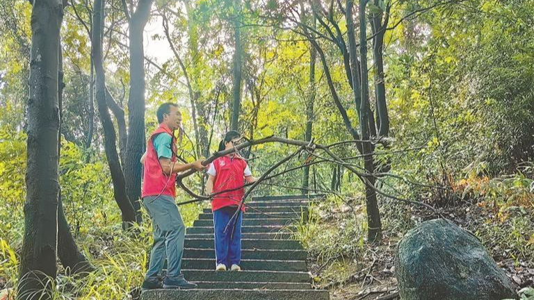 新桥街道专项巡查清理环境