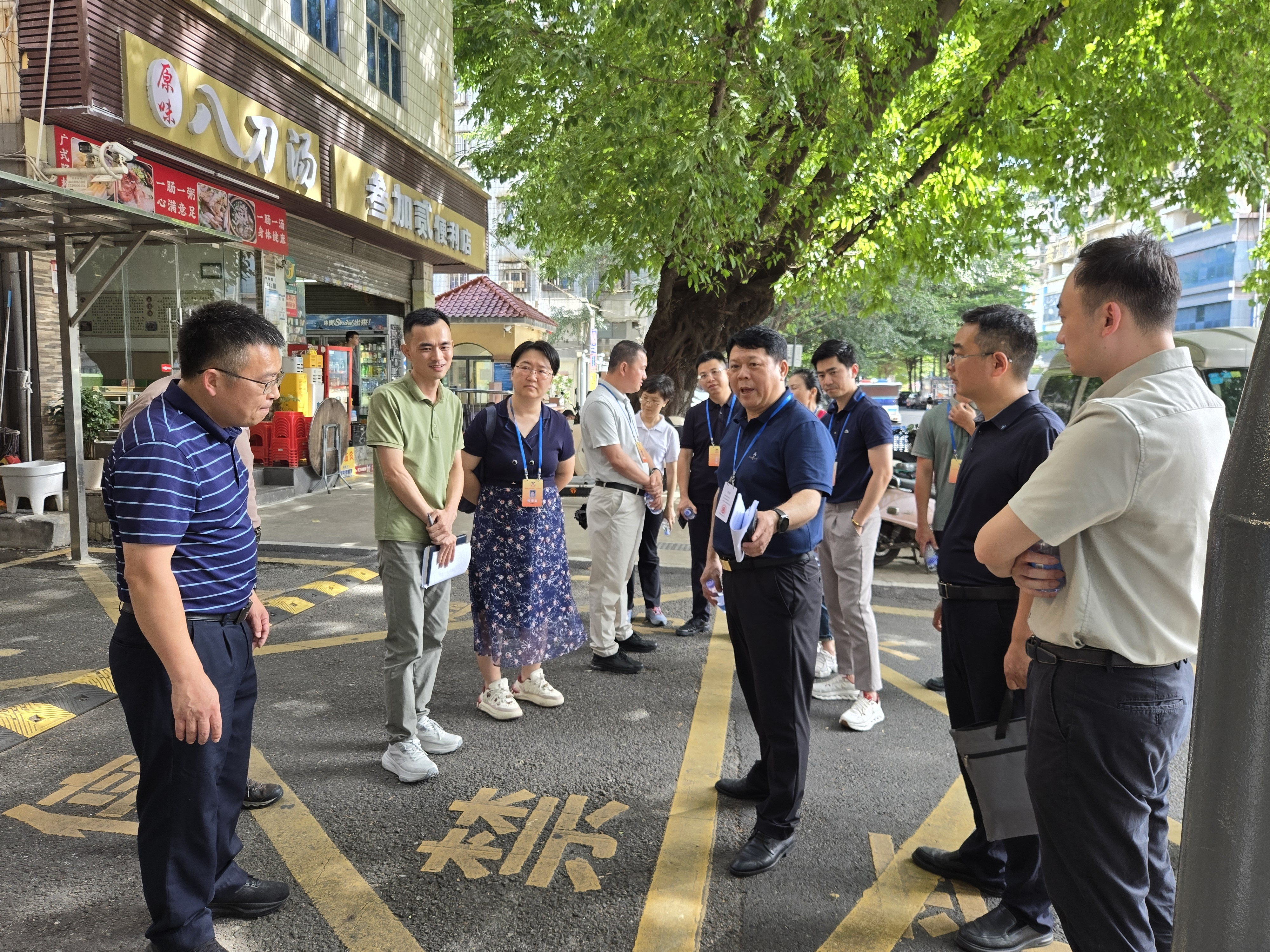 新安街道政协委员工作站：行走一线察实情 履职尽责助发展