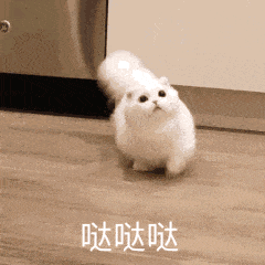 深圳交通_20250430_175156.gif