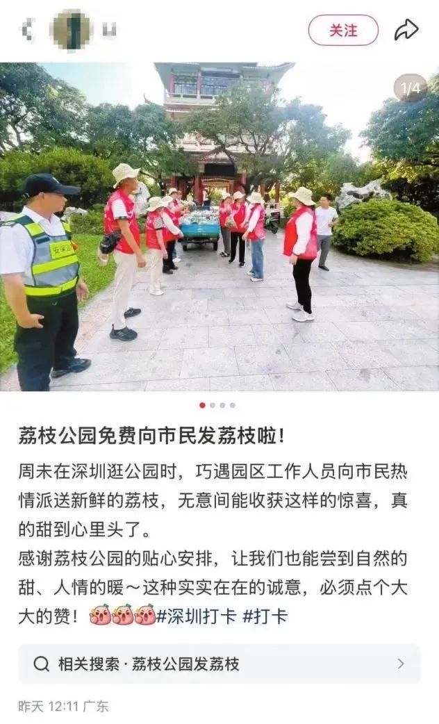法丽兹.jpg