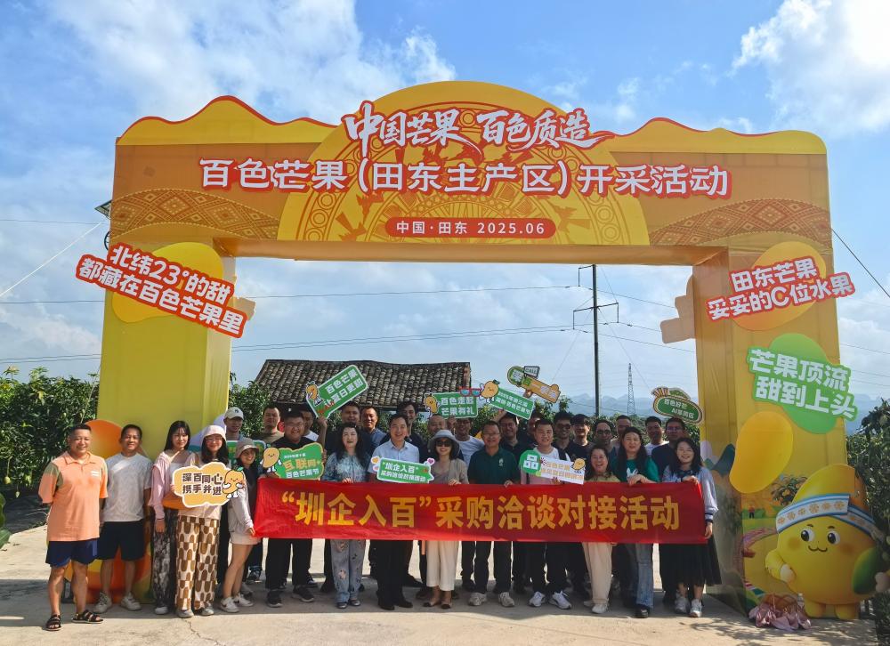 深圳企业组团赴广西百色开展芒果采购洽谈