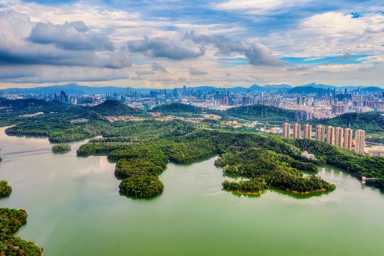 广东省首单水土保持碳汇在深圳签发