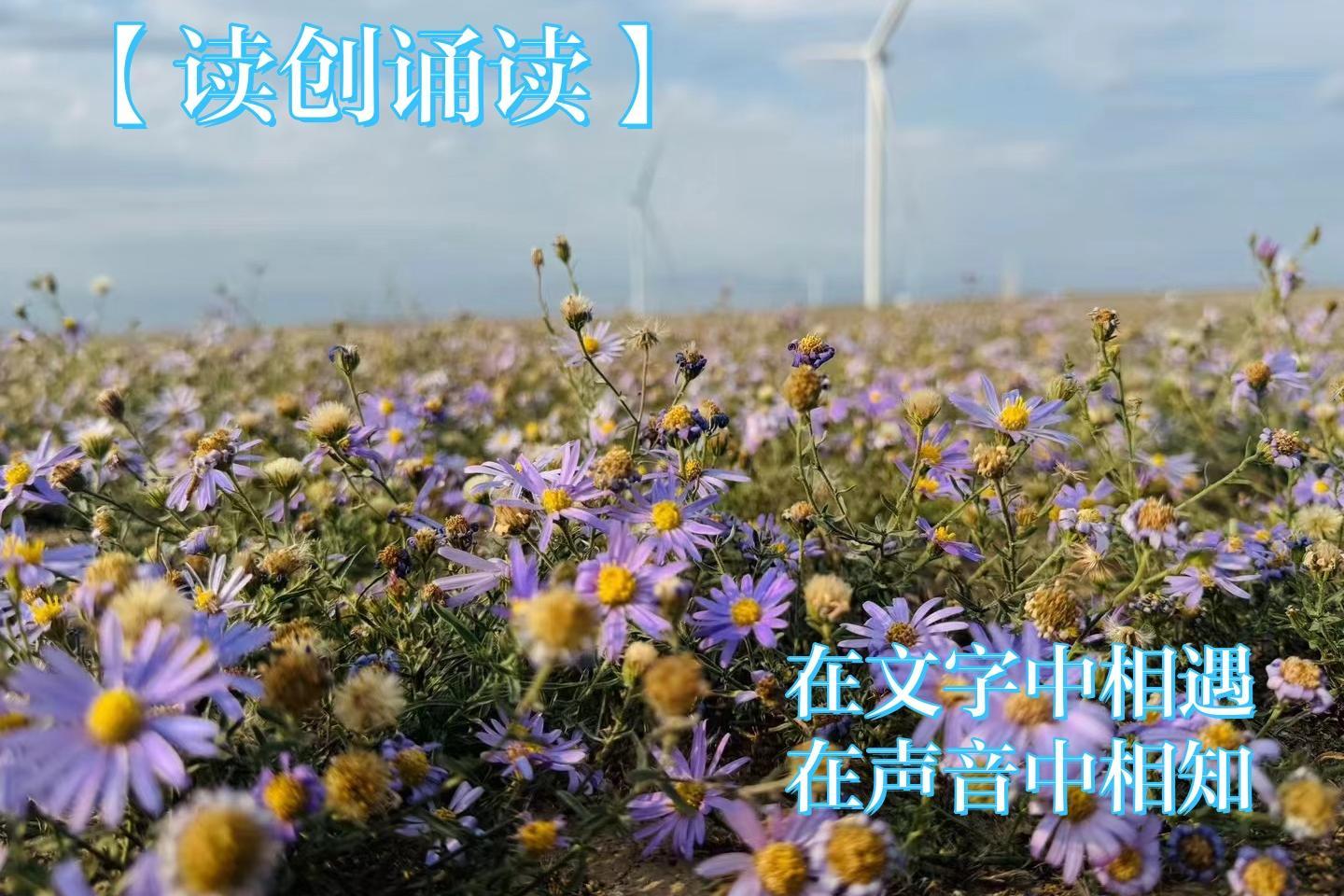 读创诵读(人间百味)|三代人的高考情结（作者:谢先莉）