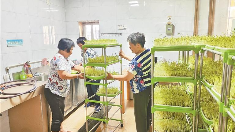 新湖街道楼村日照中心助力残疾人就业创收