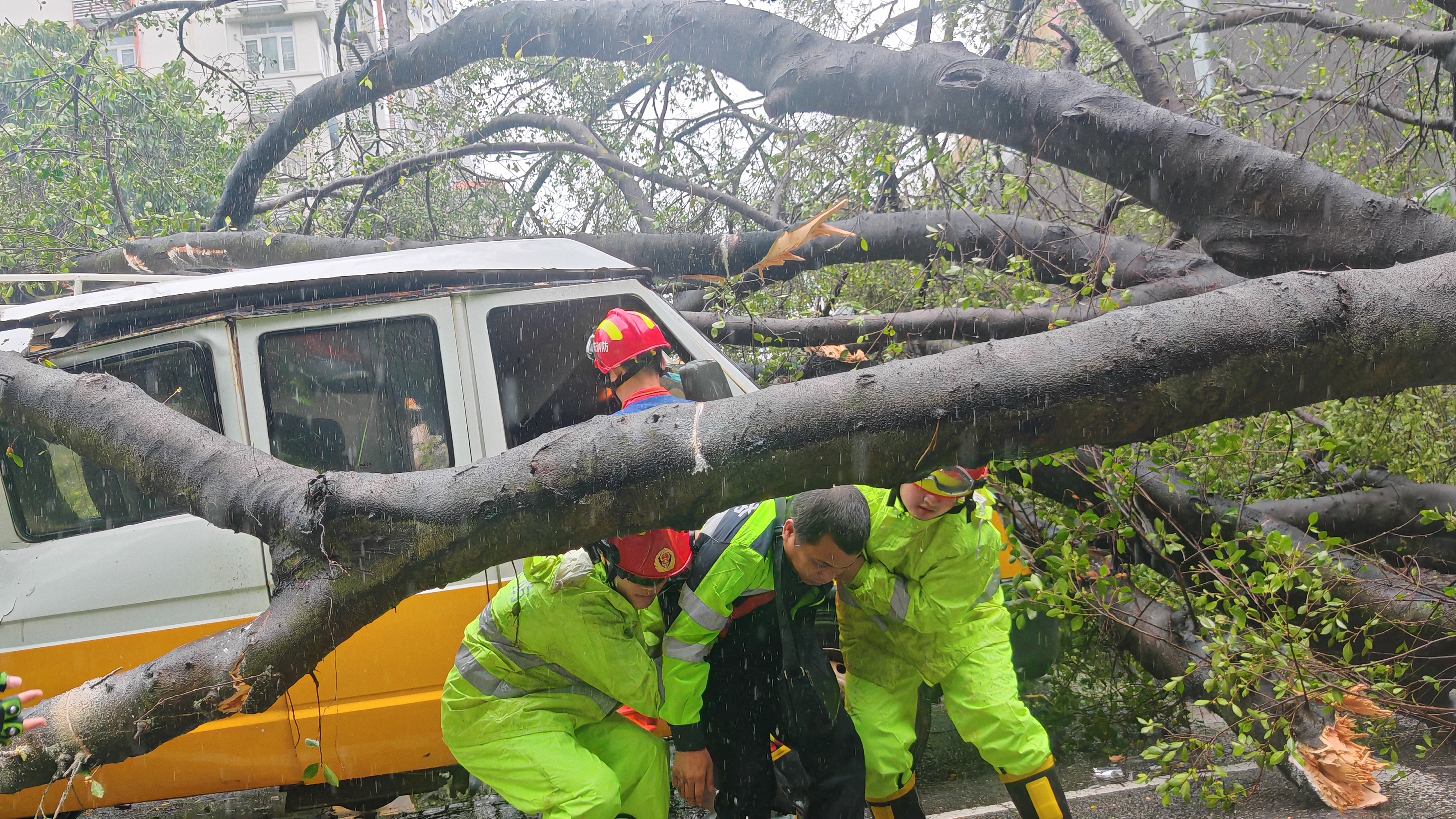 注意！台风“韦帕”致树木压车一人被困 罗湖消防风雨中紧急破窗救援