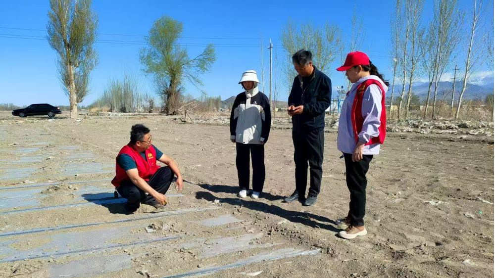 锲而不舍落实中央八项规定精神｜从会议桌转向田间地头——新疆精河县农技干部蹲点助农见闻