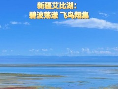 新疆艾比湖：碧波荡漾 飞鸟翔集