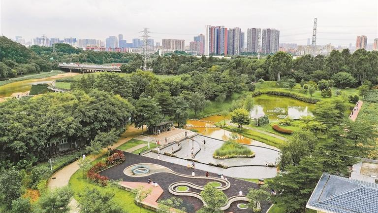 龙华新闻一周热评