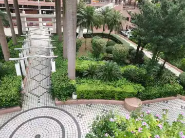深圳一小区被物业追讨188万余元后续：共管账户现多笔不明开支 | 小区大件事