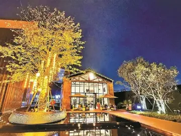 张伟明：用“复活术”延续古碉楼生命 | 赓续特区精神 锐意改革开放