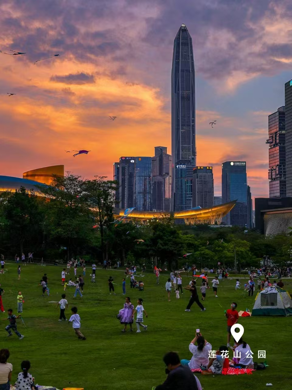 美丽深圳·每日一图｜2025年7月14日 