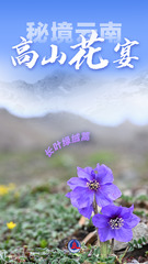 （图表 海报）美丽中国丨秘境云南，高山花宴（8）