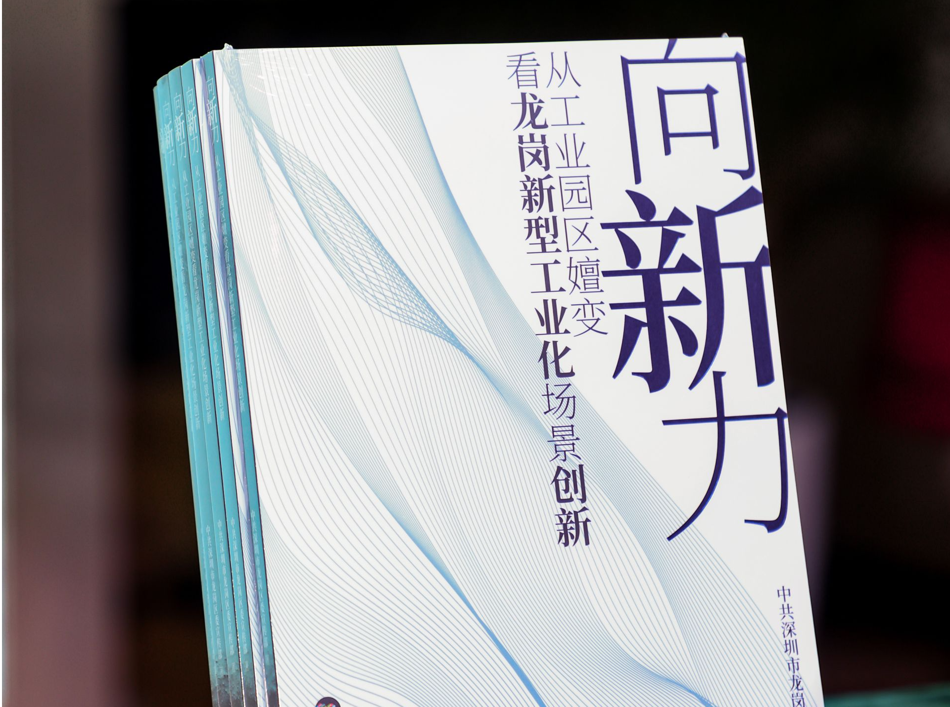 一本书读懂龙岗产业园区“进化密码” 《向“新”力》解码龙岗新型工业化跃升历程