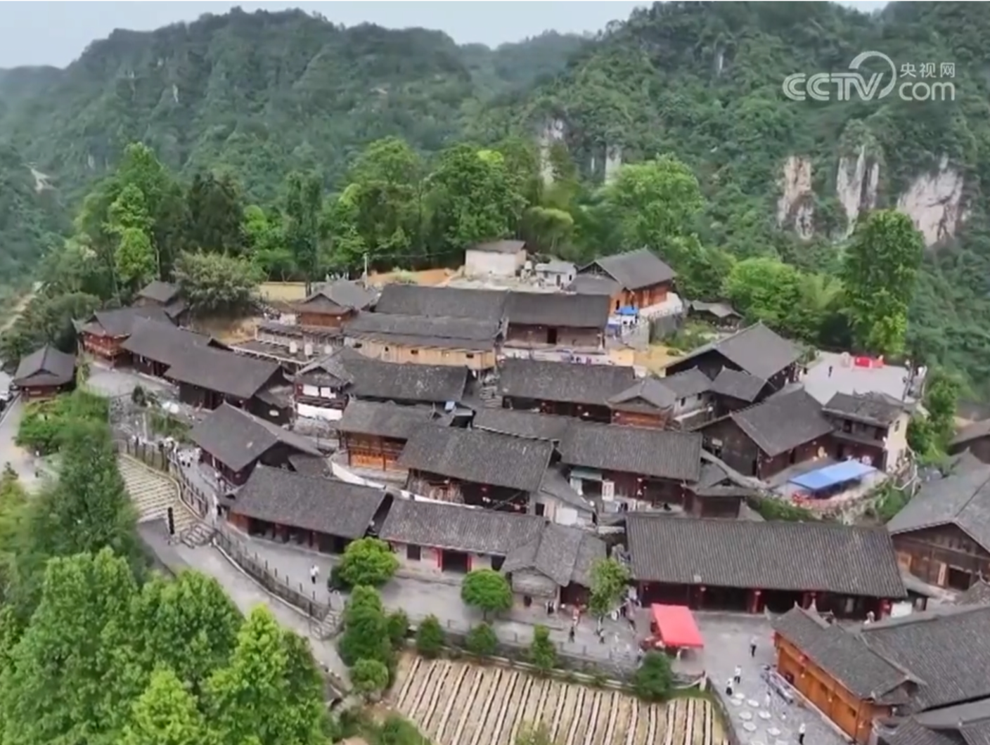 新思想引领新征程 | 持续巩固脱贫攻坚成果 奋力推进乡村全面振兴