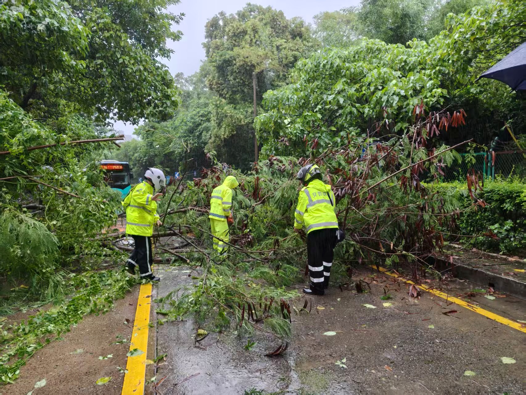 台风吹来“路障”占路，深圳交警及时清理