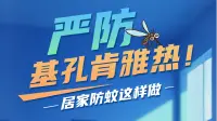 严防基孔肯雅热！居家防蚊这样做→