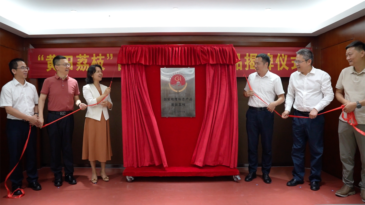 “黄田荔枝”国家地理标志产品授牌仪式举行