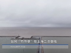新华全媒+｜台风“竹节草”在上海二次登陆