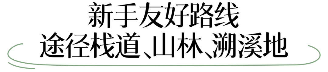 微信图片_20250710153214_730.png
