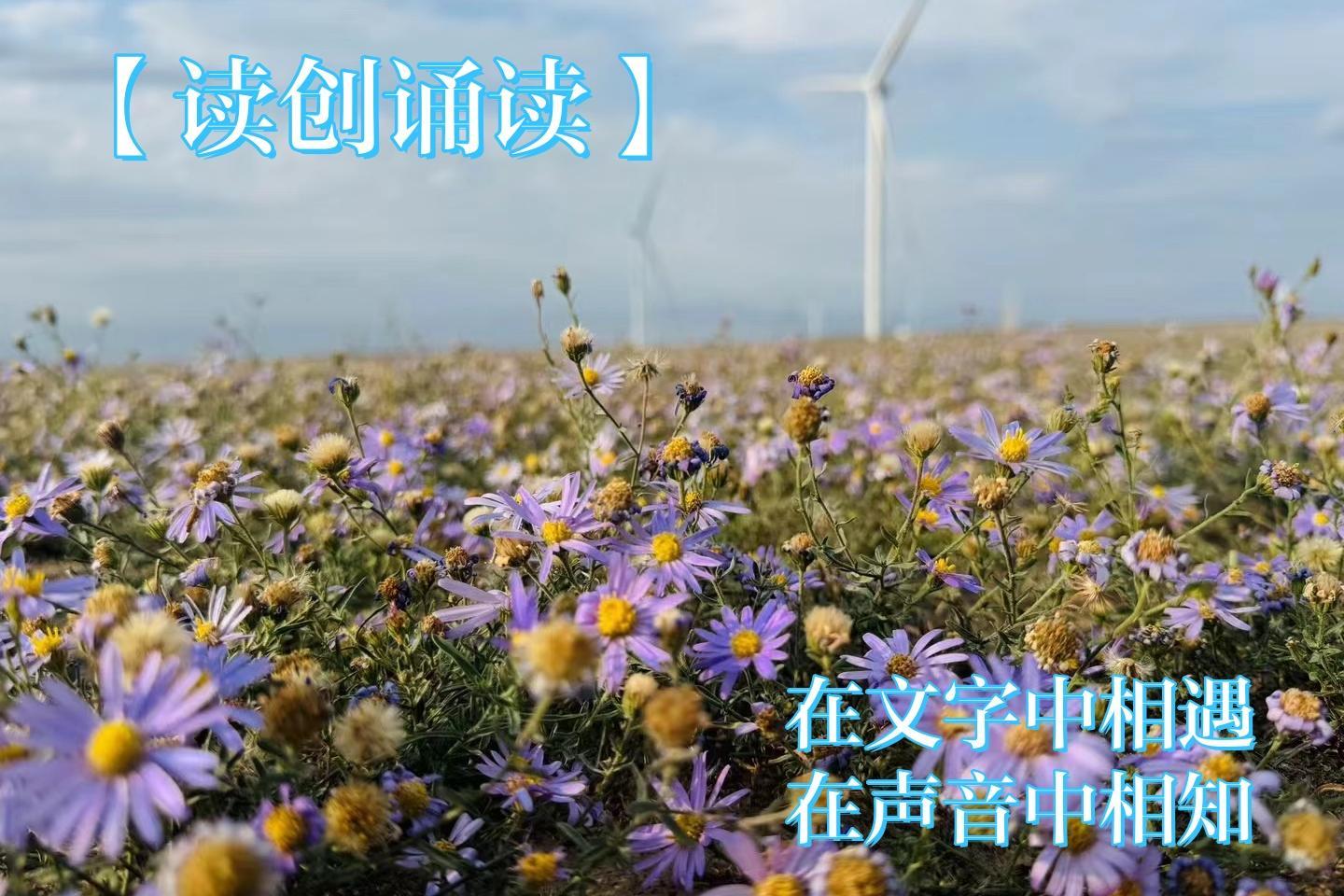 读创诵读(组诗)|夏日风情(作者:陈荣荣）