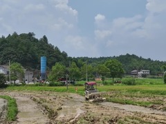 湖南湘潭：42.2万亩早稻开镰收割