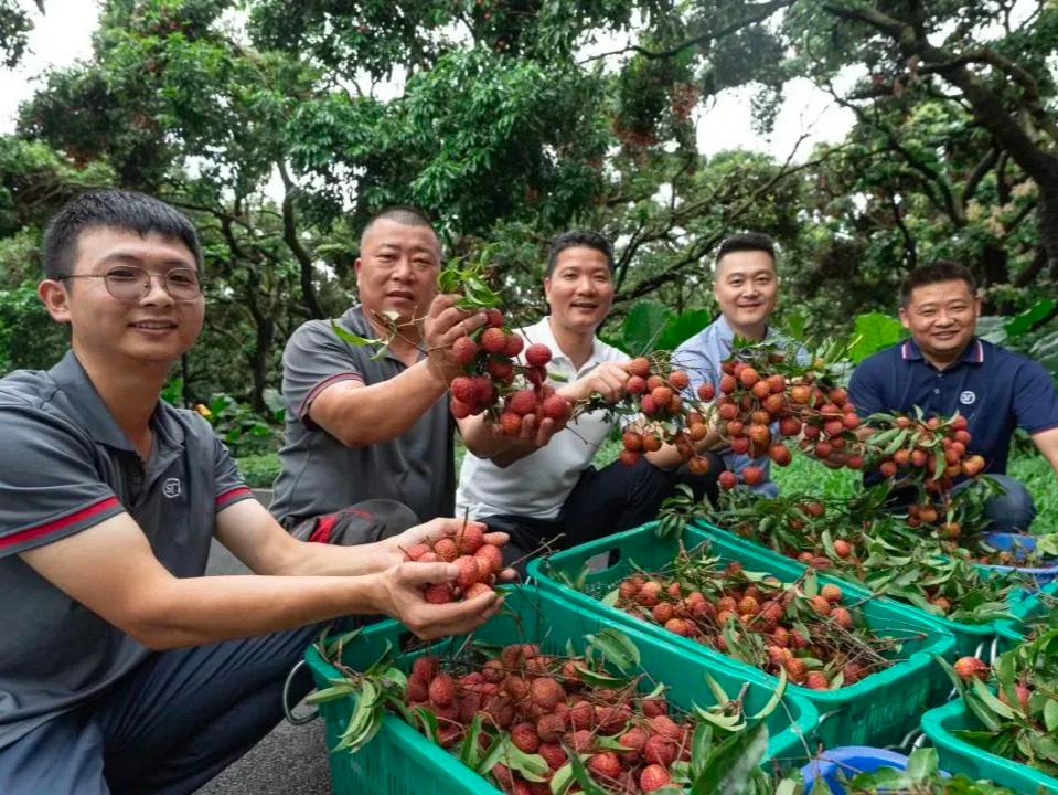 南山城管先锋营护航环西丽湖绿道荔枝采摘季
