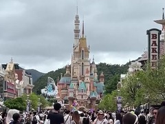 香港旅发局：上半年访港旅客约2400万人次 同比升12%