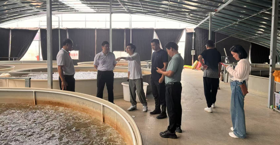 大湾区企业组团走进广西大化行，签下4000万元意向订单